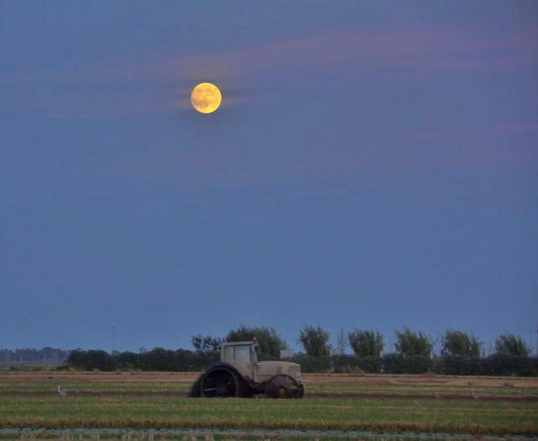 L' Espiga - Casa Rural Дельтебре Экстерьер фото